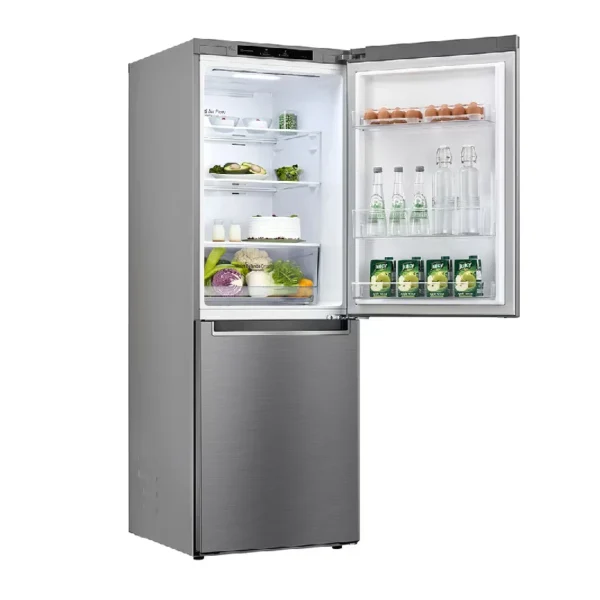 LG 306L Bottom Freezer Refrigerator